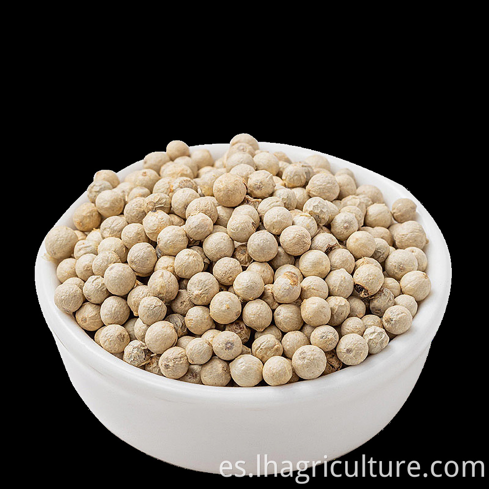 High Quality White Pepper